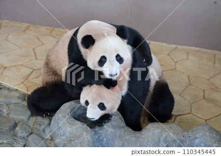 可以一起玩耍的海灘，橫濱 110345445