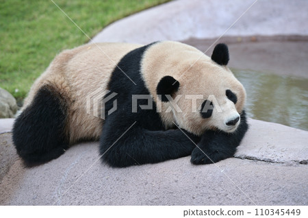 放鬆的陽光海灘 放鬆的陽光海灘 110345449