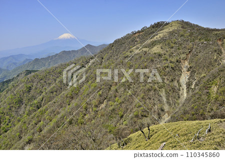 From Mt. Tanzawa in the Tanzawa Mountains, Mt. Fuji and the fresh green Fudonomine 110345860
