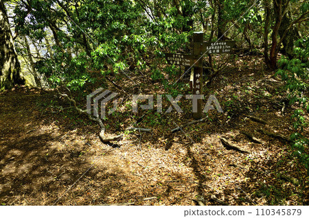 Mt. Tanzawa in the Tanzawa Mountains Tennoji ridge branch 110345879