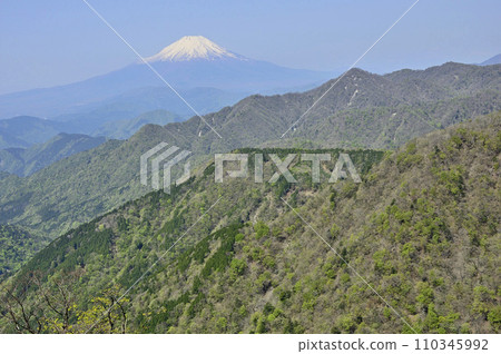 春天的丹澤、丹澤幹線、富士山和從丹澤山看到的新綠山 春天的丹澤、丹澤幹線、富士山和從丹澤山看到的新綠山 110345992