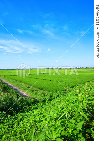 從埼玉市荒川岸看到的夏日鄉村景色 從埼玉市荒川岸看到的夏日鄉村景色 110346681