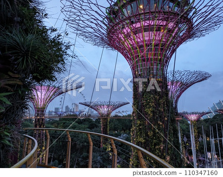 從天際線看濱海灣花園 從天際線看濱海灣花園 110347160
