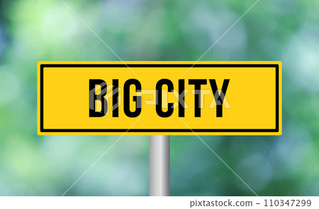 Big city road sign on blur background 110347299
