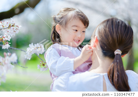 Cherry blossom viewing girl mother 110347477