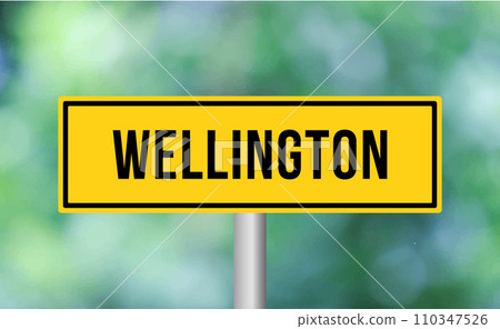 Wellington road sign on blur background 110347526