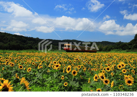 Kominato鐵路 Kominato鐵路 110348236