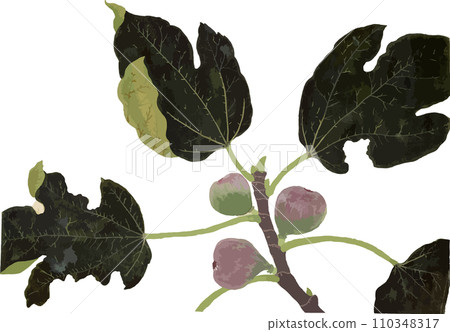 FIG FIG 110348317