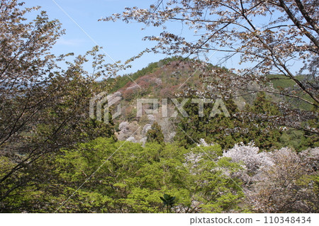 奈良縣世界遺產吉野山春景 110348434