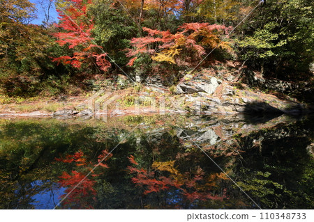 埼玉縣比企郡嵐山町鐮形:武藏嵐山溪谷的秋葉和月川水面倒映的水鏡 埼玉縣比企郡嵐山町鐮形:武藏嵐山溪谷的秋葉和月川水面倒映的水鏡 110348733