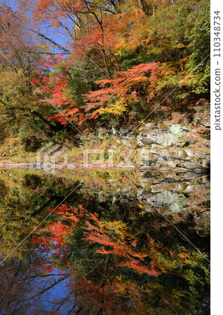 埼玉縣比企郡嵐山町鐮形：武藏嵐山溪谷的秋葉和月川水面倒映的水鏡 110348734