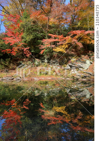 埼玉縣比企郡嵐山町鐮形:武藏嵐山溪谷的秋葉和月川水面倒映的水鏡 埼玉縣比企郡嵐山町鐮形:武藏嵐山溪谷的秋葉和月川水面倒映的水鏡 110348735