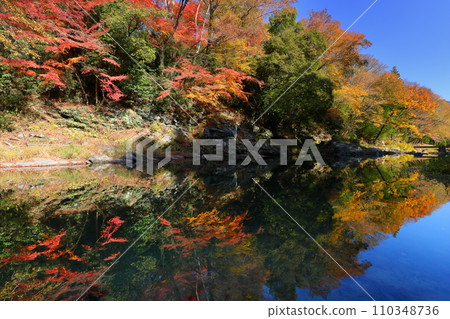 埼玉縣比企郡嵐山町鐮形:武藏嵐山溪谷的秋葉和月川水面倒映的水鏡 埼玉縣比企郡嵐山町鐮形:武藏嵐山溪谷的秋葉和月川水面倒映的水鏡 110348736