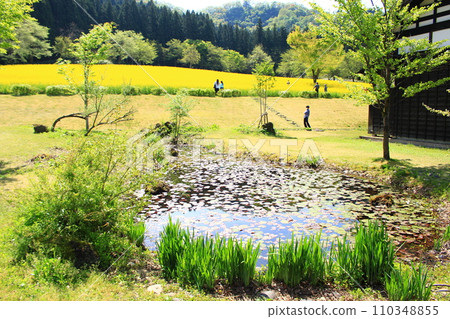 Uonuma no Sato, rape blossom field Uonuma no Sato, rape blossom field 110348855
