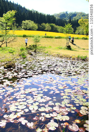 Uonuma no Sato, rape blossom field 110348856