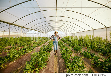 Farmer, greenhouse and happy agriculture woman in eco friendly business for environmental health. Carbon capture career and food sustainability industry for green lifestyle, growth and innovation. Farmer, greenhouse and happy agriculture woman in eco friendly business for environmental health. Carbon capture career and food sustainability industry for green lifestyle, growth and innovation. 110349826