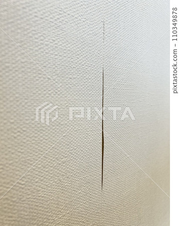 公寓內壁紙（布）剝落 110349878