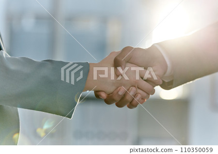 Handshake, greeting and meeting business people in an agreement or partnership in unity, trust and support. Closeup of corporate professionals hands in collaboration or thank you gesture Handshake, greeting and meeting business people in an agreement or partnership in unity, trust and support. Closeup of corporate professionals hands in collaboration or thank you gesture 110350059