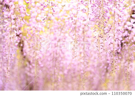 Fuji 196 Fuji 196 110350070