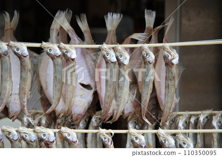 dried fish dried fish 110350095