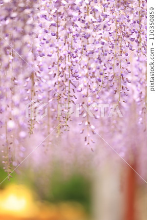 Fuji 246 Fuji 246 110350859