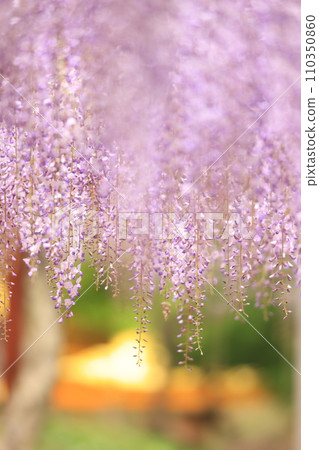 Fuji 248 Fuji 248 110350860