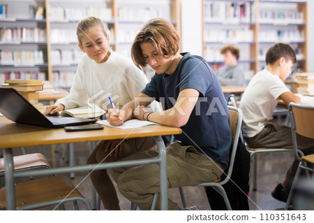 Portrait of two focused schoolchildren in front of a laptop 110351643