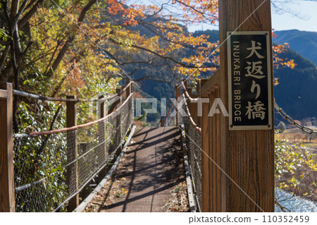 Shizuoka Prefecture/Inugaeri Bridge [Yappashi Komichi Love Romance Road] 110352459