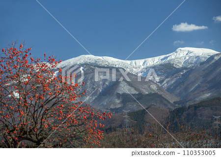 雪山藏王山與殘存的柿子 110353005
