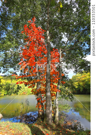 福島縣裡盤馬澤沼澤/北鹽原村 110353501