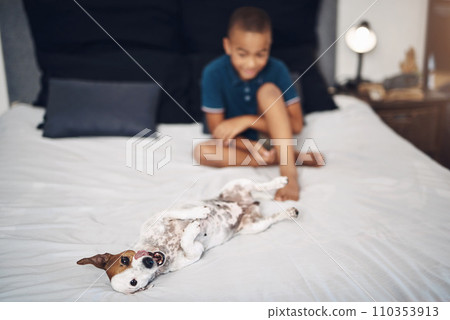 Nothing ruff about this life. an adorable little boy playing with his pet dog on the bed at home. Nothing ruff about this life. an adorable little boy playing with his pet dog on the bed at home. 110353913
