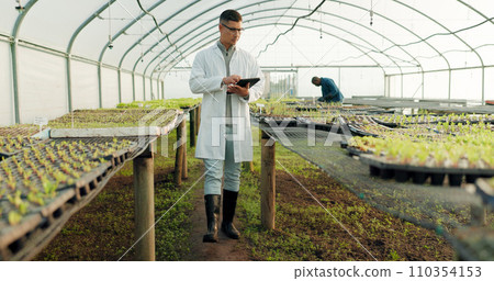 Scientist, tablet and greenhouse inspection of plants, agriculture safety and quality assurance for food health. Science, man or farmer with farming food, gardening or vegetables data on digital tech 110354153