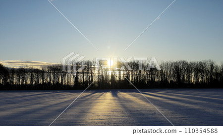 清晨的太陽從北海道惠庭市的雪原升起 清晨的太陽從北海道惠庭市的雪原升起 110354588