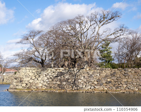 The stone walls and middle moat of Hikone Castle. Photographed in December from Shiga Prefectural Route 25 Hikone Omihachiman Line. The stone walls and middle moat of Hikone Castle. Photographed in December from Shiga Prefectural Route 25 Hikone Omihachiman Line. 110354906