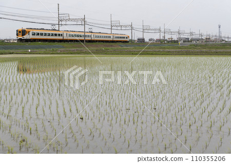 Kintetsu Limited Express Sunny Car (Ise Wakamatsu ~ Chiyosaki) 110355206
