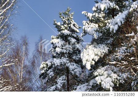 Snowy landscape reminding quiet, peaceful side of winter 110355280