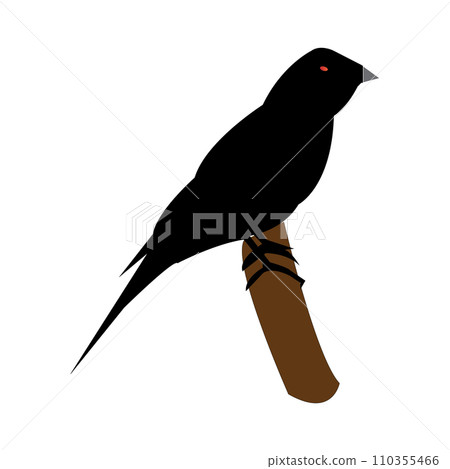 gouldian finches icon gouldian finches icon 110355466