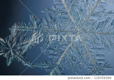 Natural snowflake crystal in blue background 110356300