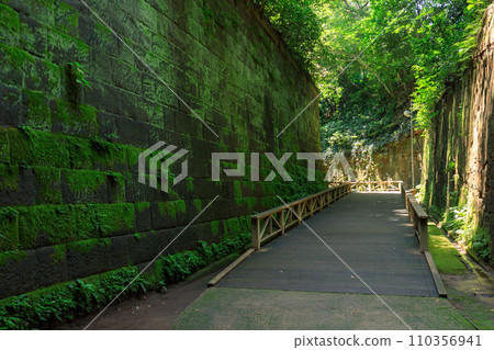 神奈川橫須賀_猿島與戰爭遺產風景 110356941