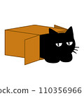 一隻貓在盒子裡放鬆的插圖 110356966