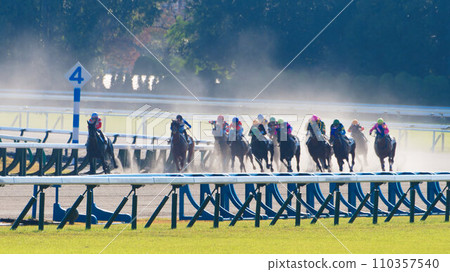 京都賽馬場的賽馬在泥土上馳騁 京都賽馬場的賽馬在泥土上馳騁 110357540