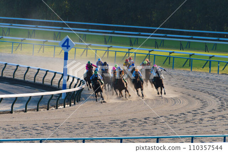 京都賽馬場的賽馬在泥土上馳騁 京都賽馬場的賽馬在泥土上馳騁 110357544