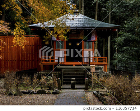 The quiet appearance of autumn leaves 110357734