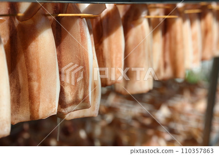 Sun-dried squid Sun-dried squid 110357863