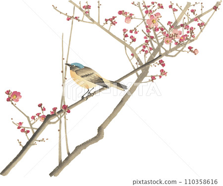 Flower and bird painting plum 110358616
