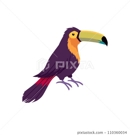 Tropical toucan bird on the branch, cartoon exotic wild bird with orange beak, jungle fauna animal isolated vector Tropical toucan bird on the branch, cartoon exotic wild bird with orange beak, jungle fauna animal isolated vector 110360034
