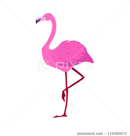 Flamingo bird standing on leg in profile, flat vector illustration isolated. Flamingo bird standing on leg in profile, flat vector illustration isolated. 110360072