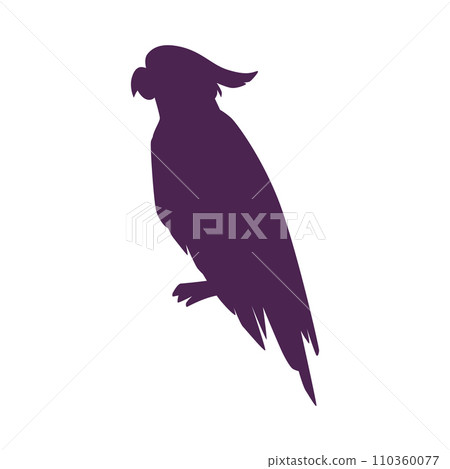 Beautiful Cockatoo black silhouette, exotic parrot wild bird with crest vector outline illustration, tropical nature 110360077