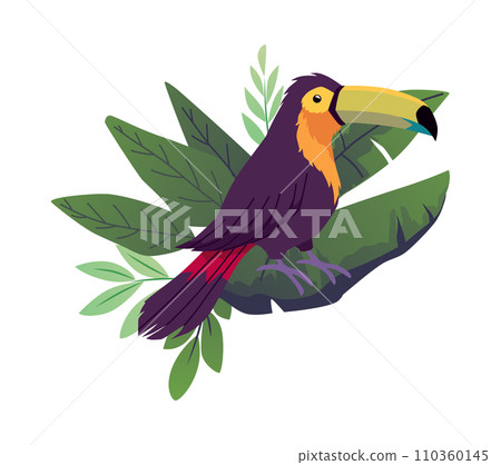 Tropical black toucan bird, cartoon beautiful exotic wild bird with orange beak, jungle fauna and flora vector isolated Tropical black toucan bird, cartoon beautiful exotic wild bird with orange beak, jungle fauna and flora vector isolated 110360145