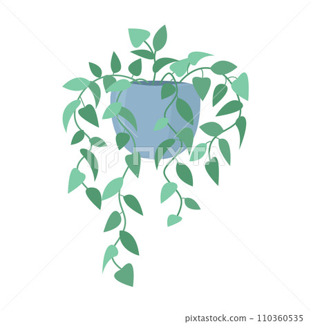 Hanging houseplant growing in pot color isolated Hanging houseplant growing in pot color isolated 110360535